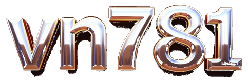 vn781 logo